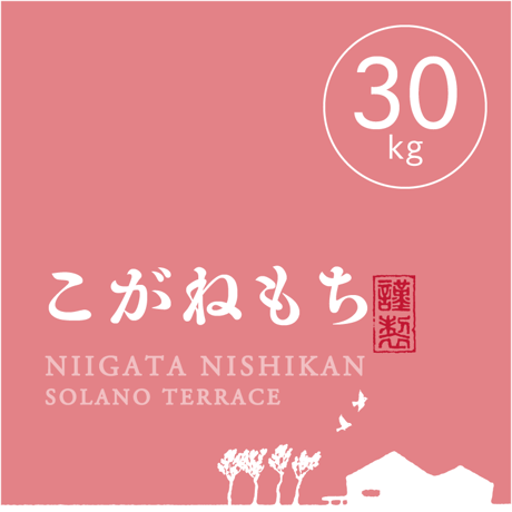 【R.7年度産】【玄米 30kg】  そら野テラスの『こがねもち』（もち米）