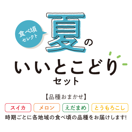 【7/20〜7/31発送】メロン　『夏のいいとこどりセット!』