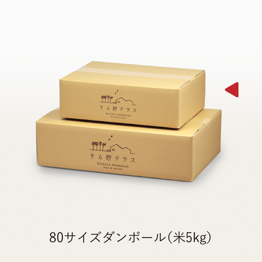 59ae5b683210d519a60001f0