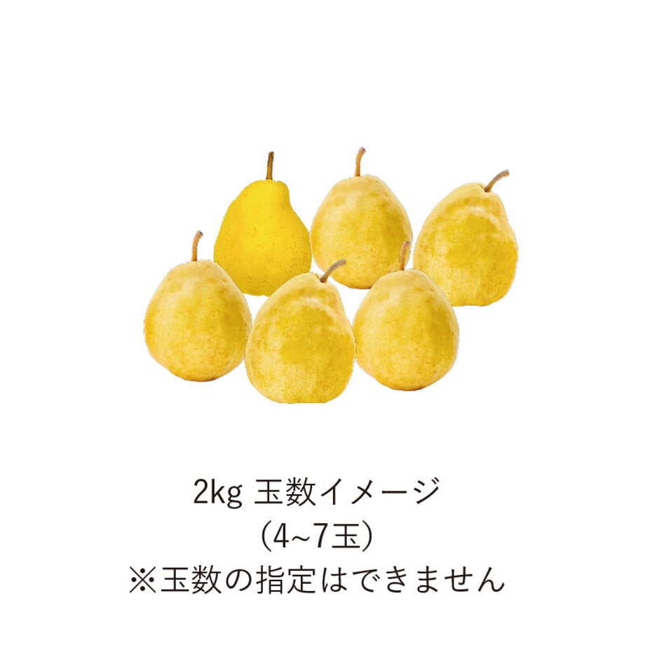 5dc21d35b9de6570ec316158
