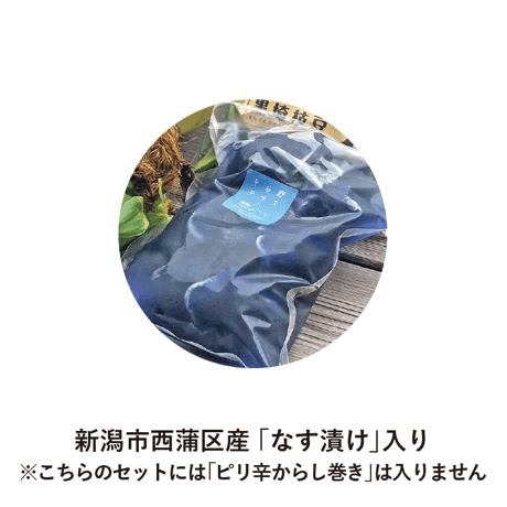 【6/25〜7/25発送】とれたて夏野菜と「なす漬け」セット