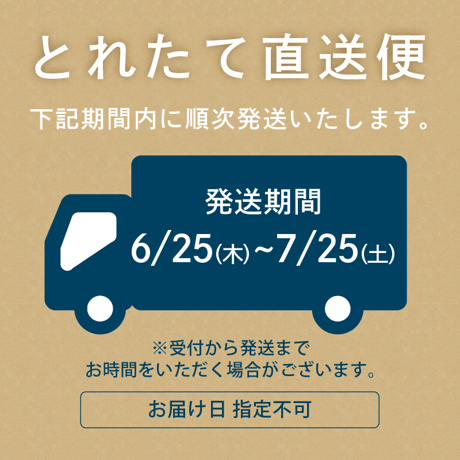 【6/25〜7/25発送】とれたて！とうもろこし　10本入