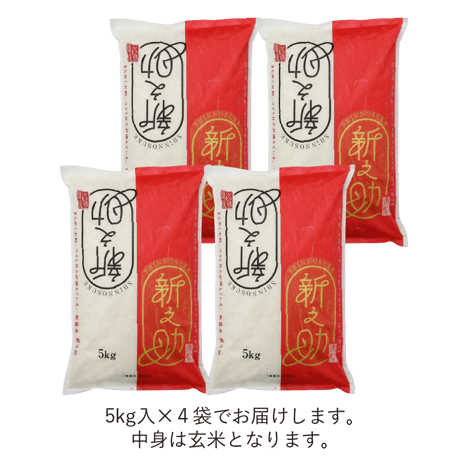 【R.7年度産】【玄米 20kg（5kg袋×4袋）】  そら野テラスの  『新之助』