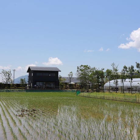 【R.7年度産】【白米 5kg】  そら野テラスの  『新之助』