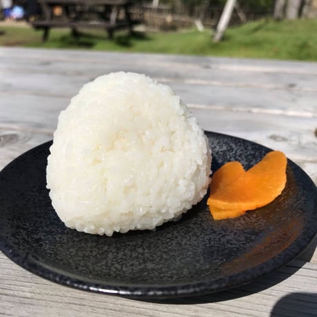 【R.7年度産】【玄米 30kg】  そら野テラスの  『新之助』