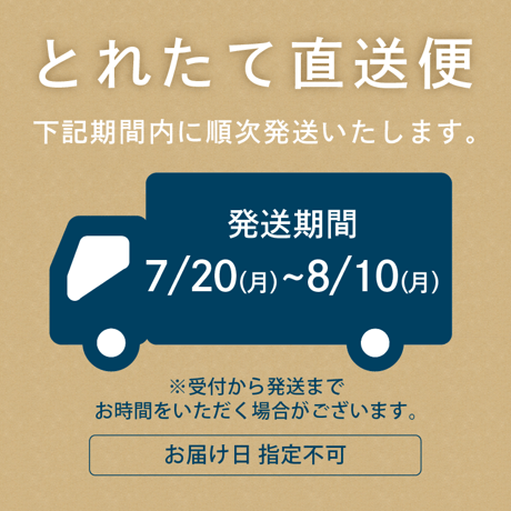 【7/20〜8/10発送】農園ビギン（小千谷市）さんのスイカギフト　2Lサイズ2個入