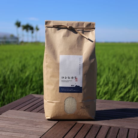 【R.7年度産】【白米5kg】そら野テラスの『コシヒカリ』