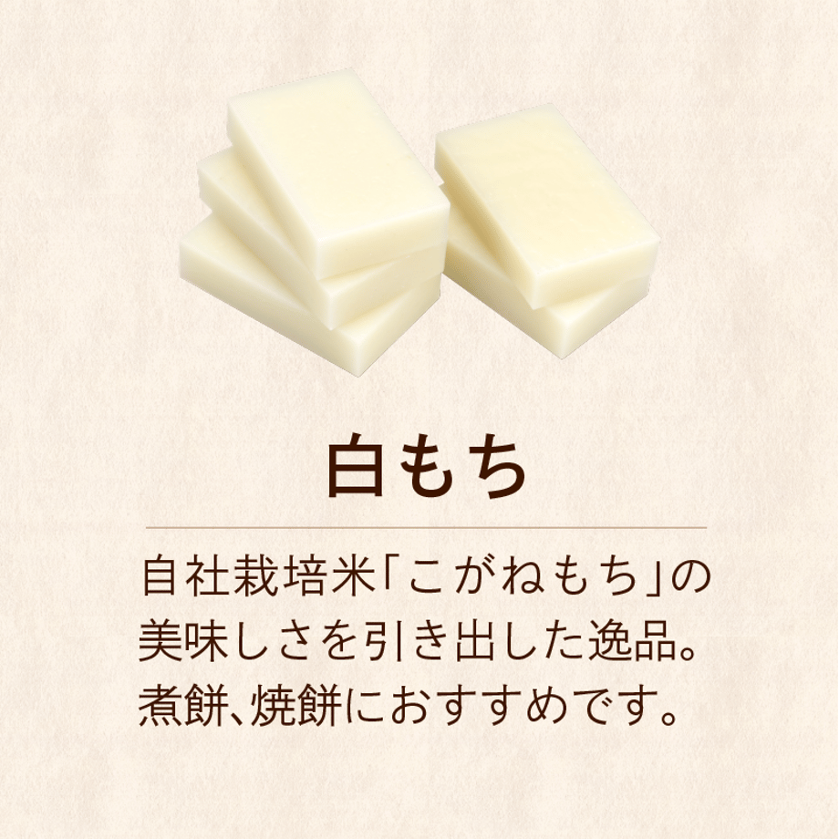 5bed13d75496ff7fc3000345