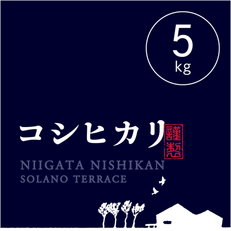 【R.7年度産】【白米5kg】そら野テラスの『コシヒカリ』