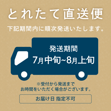【7月中旬~8月上旬発送】くだもの屋にへじ（南区）さんのももギフト 3kg（6~12個入）