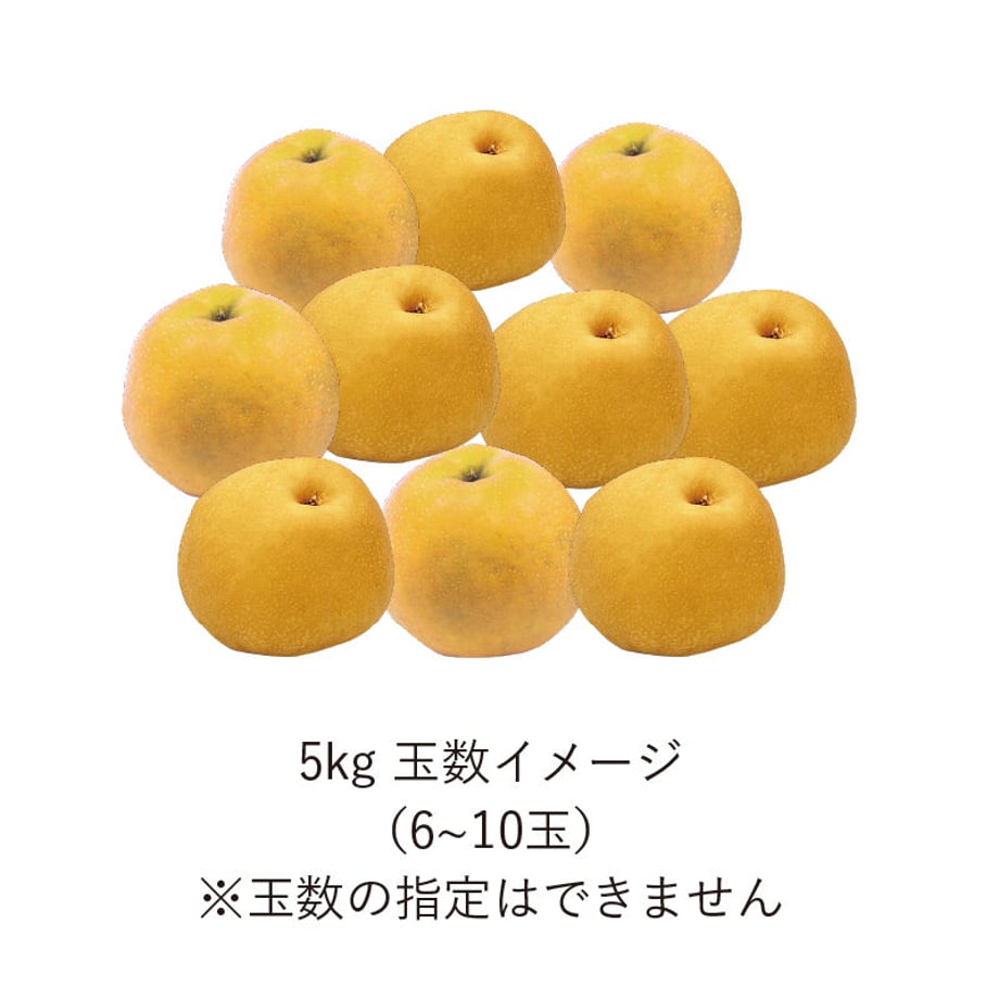 6377125f5988dc571c0748dc