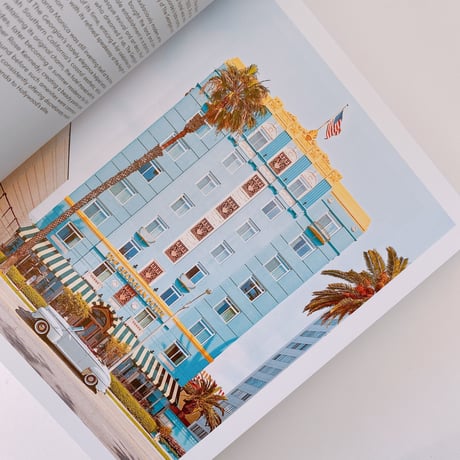 ACCIDENTALY WES ANDERSON