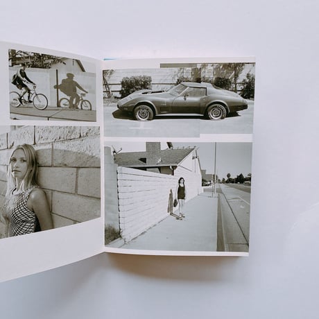 CONTEMPORARY SUBURBIUM by Ed & Deanna Templeton