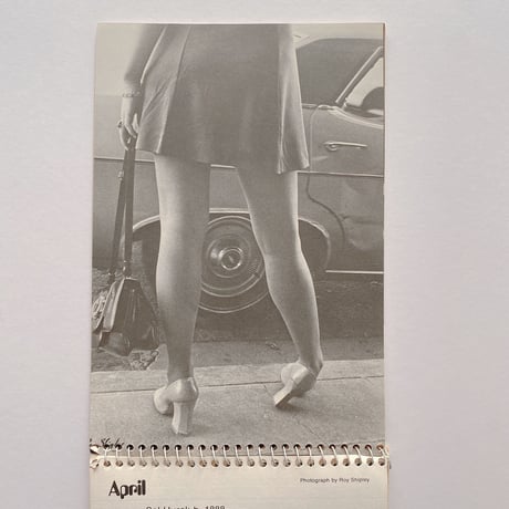 Rolling Stone Book of Days 1973
