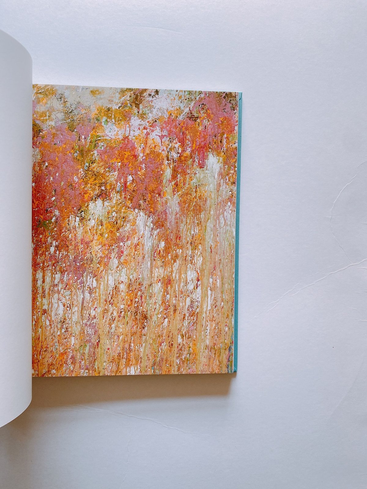 カラーフィールド 色の海を泳ぐ | BOOKNERD