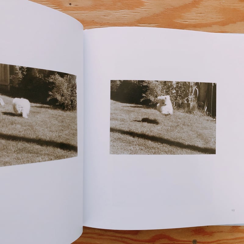 ROBERT ADAMS HEAR THE LEAVES AND LOVE THE LIG