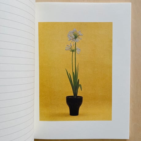 IKEBANA IDEA BOOK