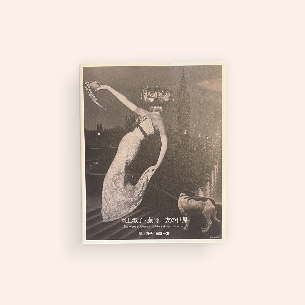 岡上淑子・藤野一友の世界 | BOOKNERD