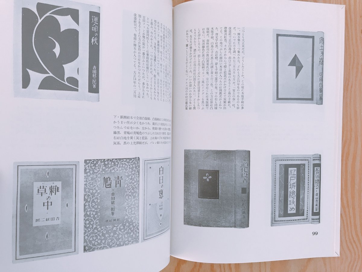 ヒルデガルドのビジョン解説本と、ぬり絵本 ヒルデガルドのビジョン解説本と、ぬり絵本