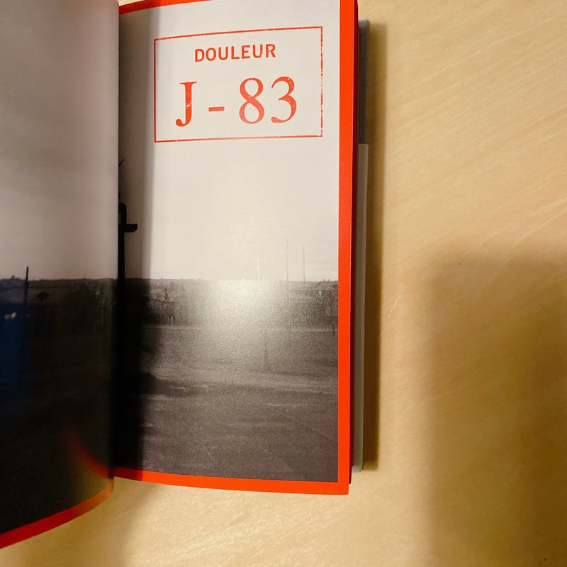 限局性激痛 | BOOKNERD