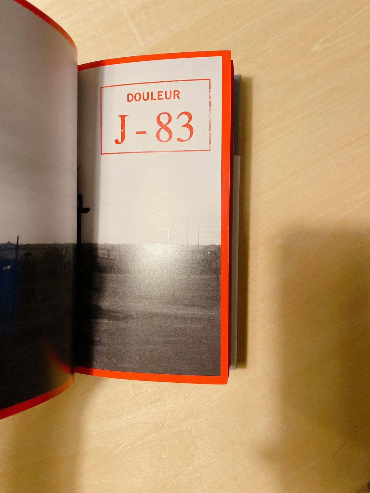 限局性激痛 | BOOKNERD