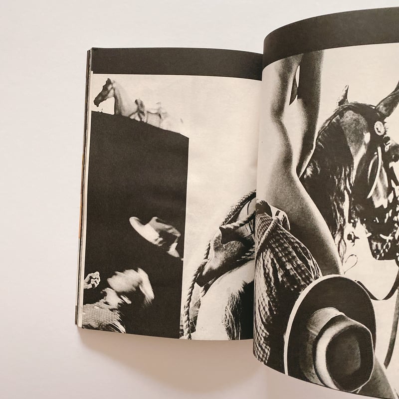 Artプレイボーイ 創刊 篠山紀信特集号 | BOOKNERD