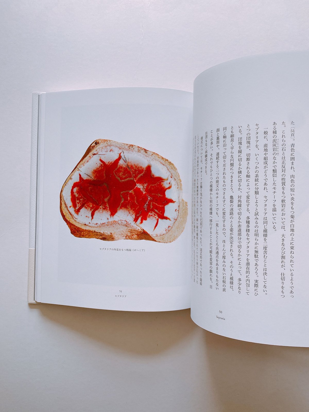 石が書く | BOOKNERD