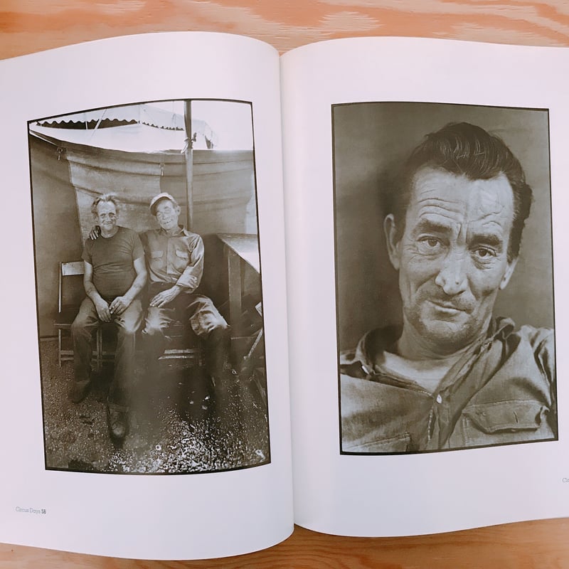 JILL FRIEDMAN CIRCUS DAYS | BOOKNERD