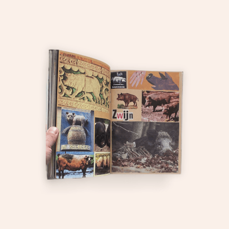 Animal Books for Jaap, Zeno, Anna, Julian & Luca(Reprint)