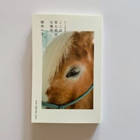 みちのくの人形たち | BOOKNERD