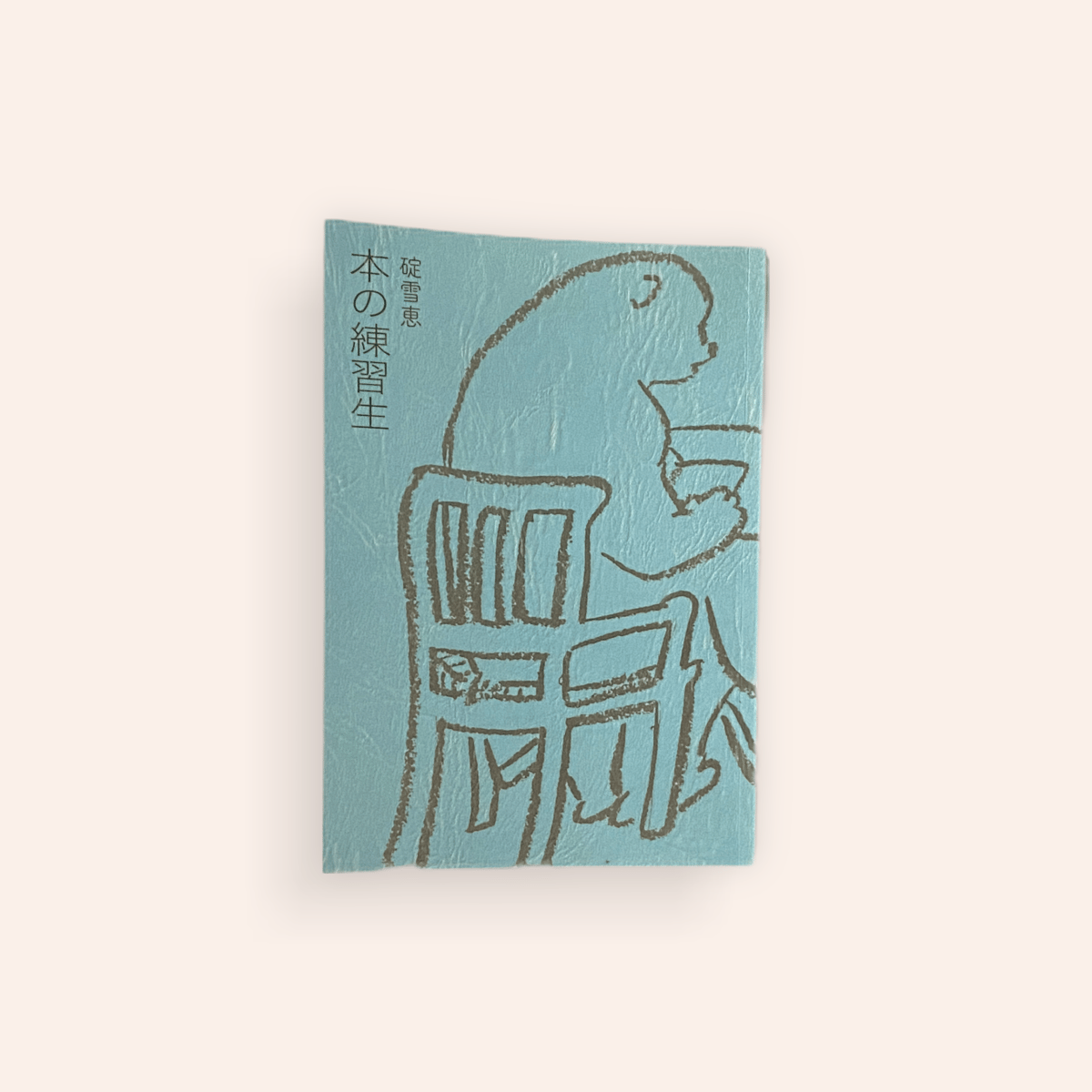 サムスニード直筆サインレッスン本 サムスニード直筆サインレッスン本 20250625145710_2.jpg