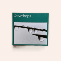 Dewdrops　露のしずく