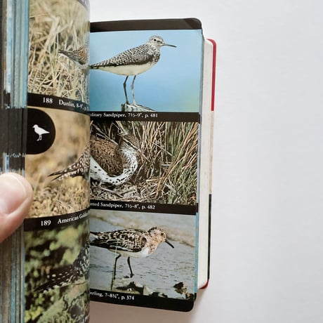 The Audubon Society Field Guide to North American Birds