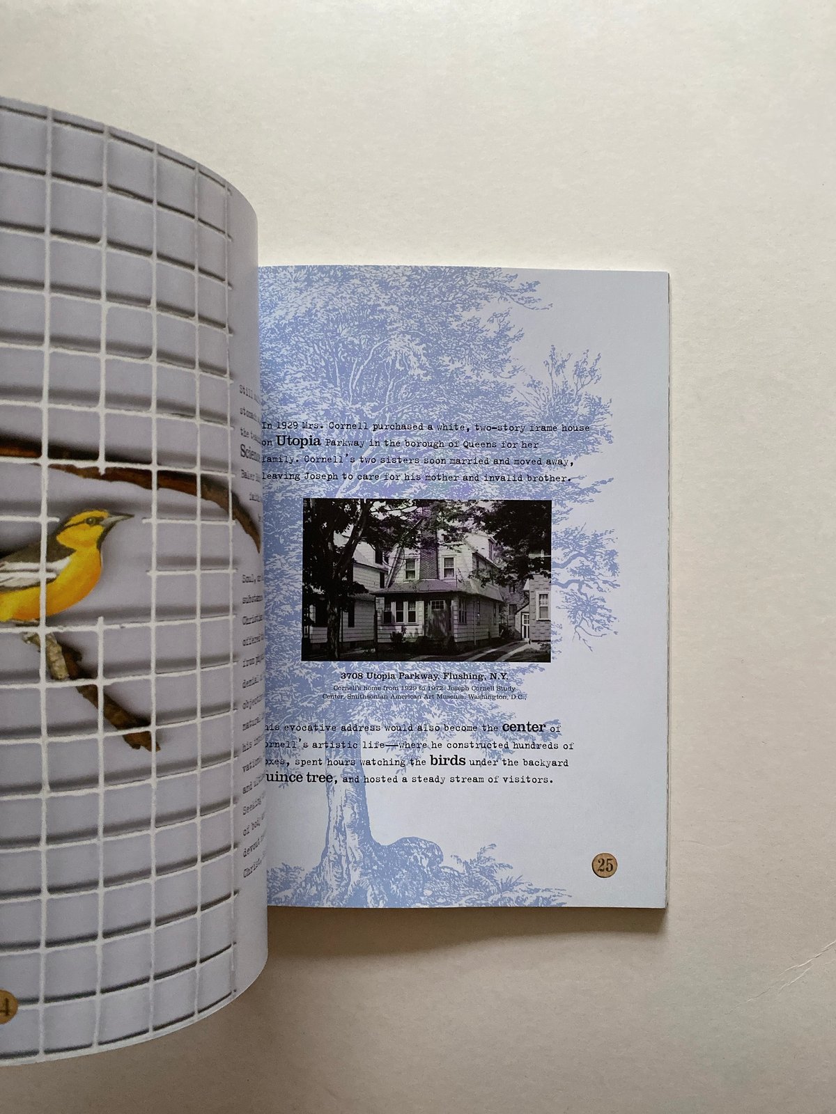 The Joseph Cornell Box | BOOKNERD