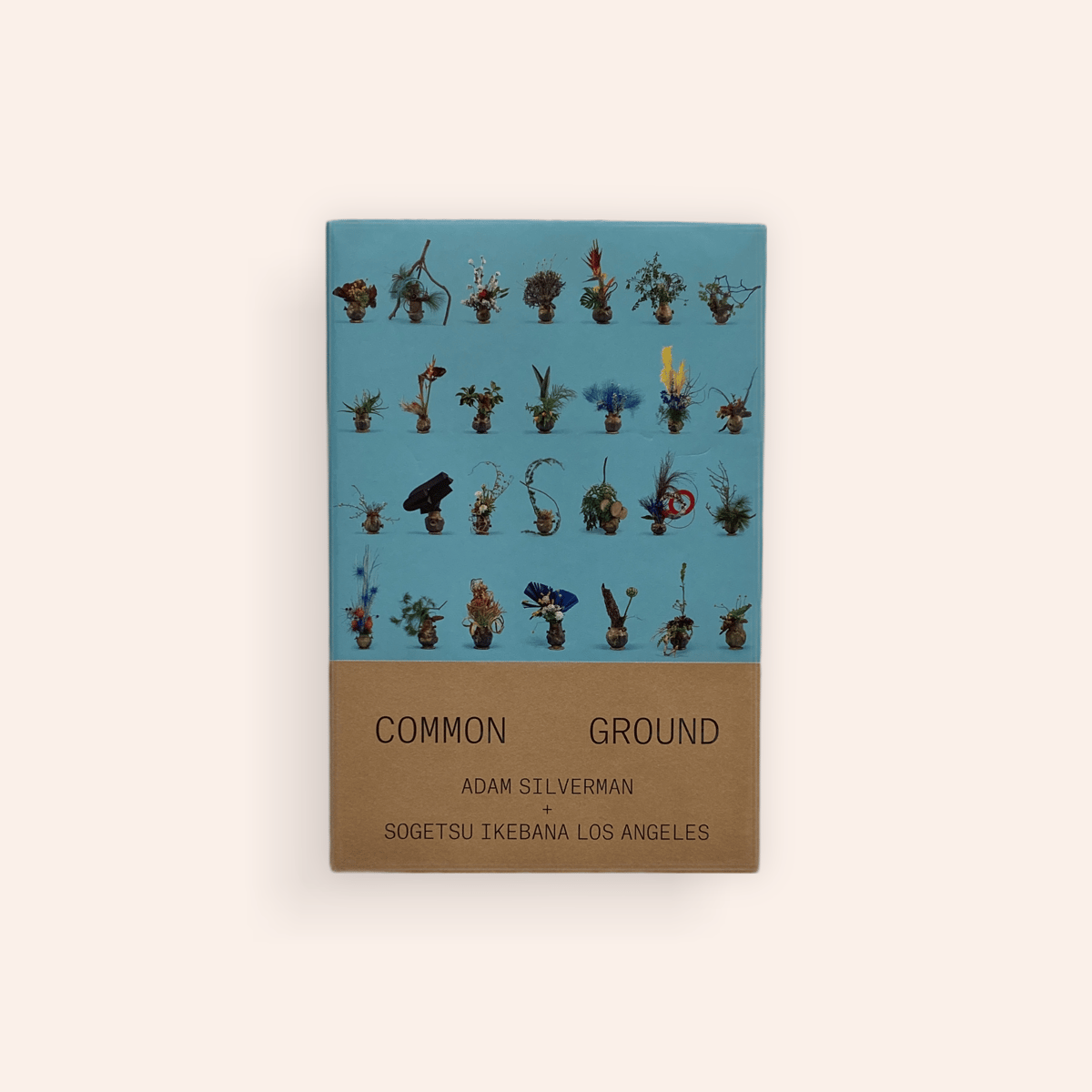 【希少】Adam Silverman  Common Ground COMMON GROUND — Adam Silverman Studio