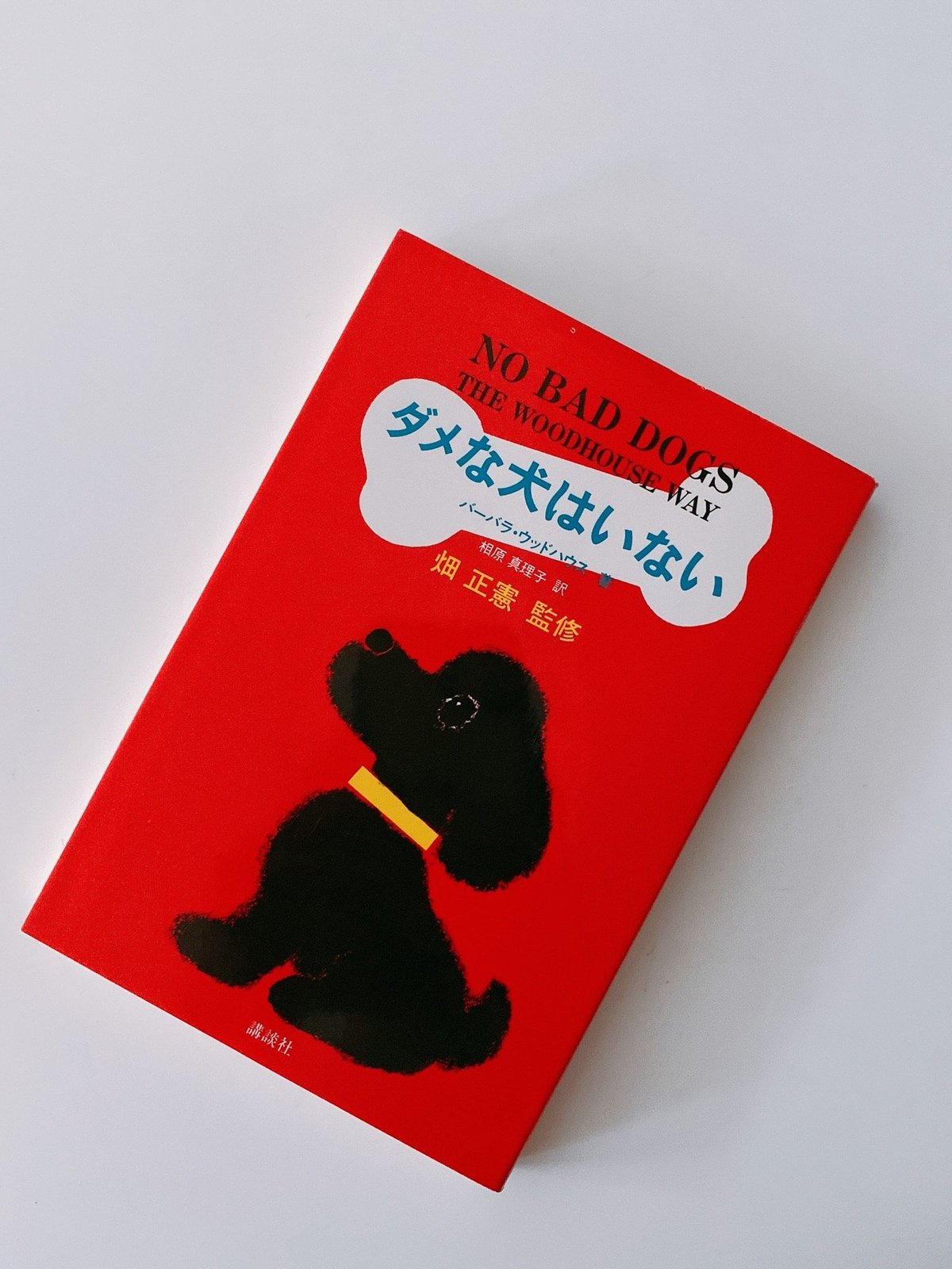 【福袋セール】の商品 ダメな犬はいない | BOOKNERD 文学+小説