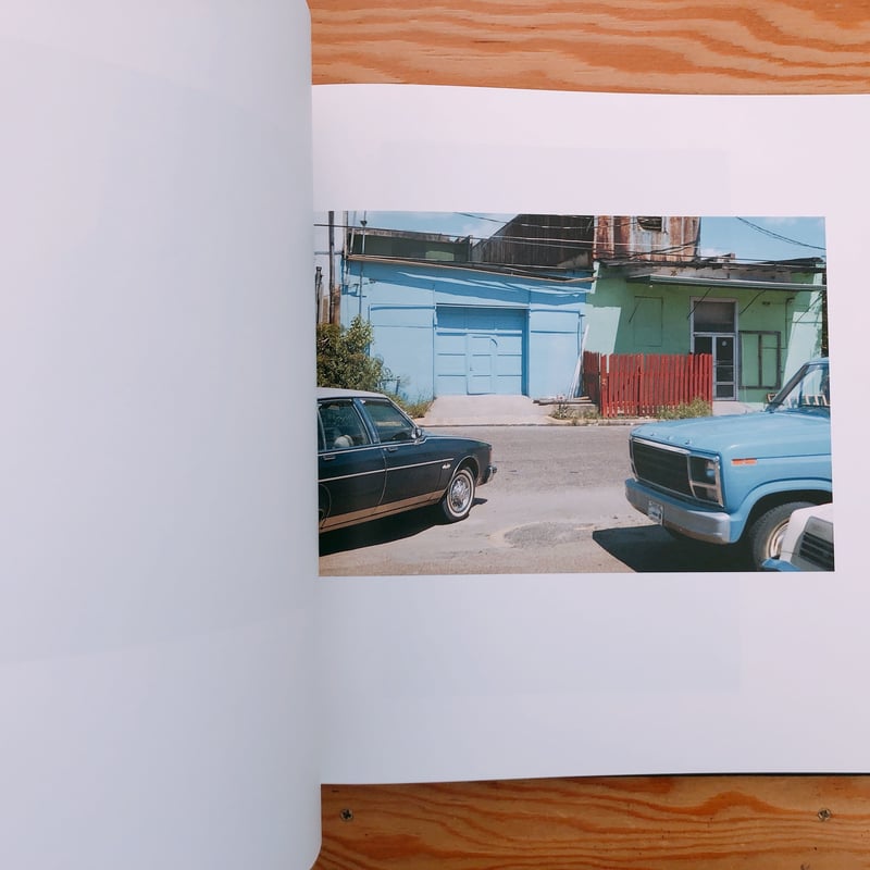 William eggleston The Democratic Forest. Selec