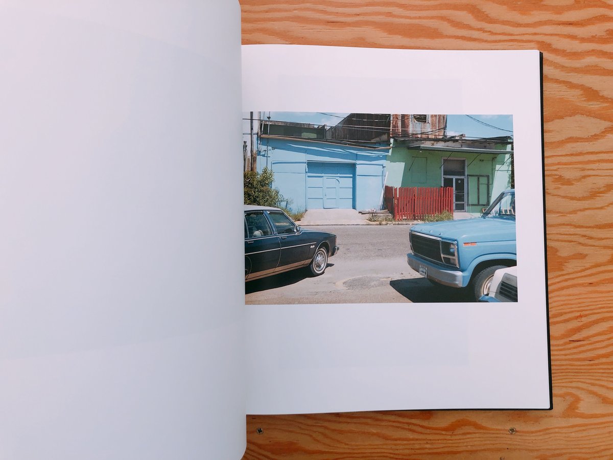 William eggleston The Democratic Forest. Selec