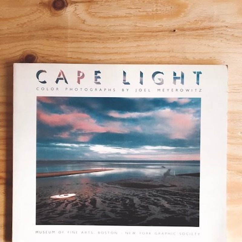 JOEL MEYEROWITZ CAPE LIGHT | BOOKNERD