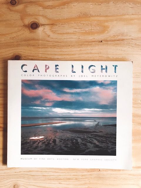 JOEL MEYEROWITZ CAPE LIGHT | BOOKNERD