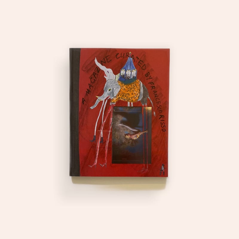 A MAGAZINE CURATED BY FRANCESCO RISSO | BOOKNERD