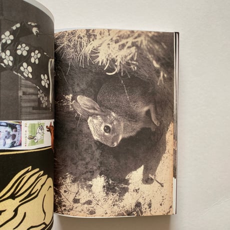 Lou Martens  Animal Books For