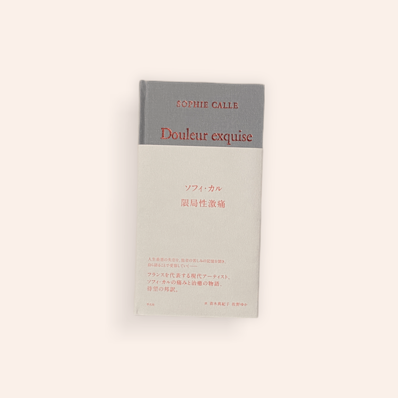 限局性激痛 | BOOKNERD