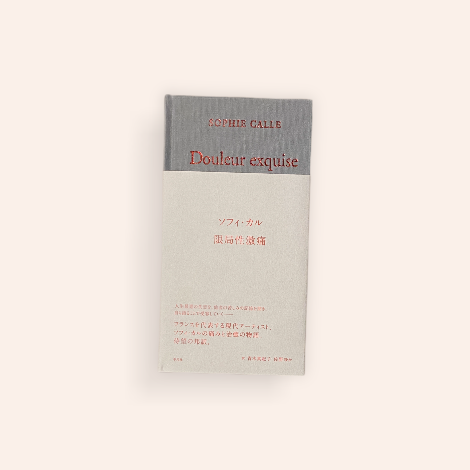 限局性激痛 | BOOKNERD