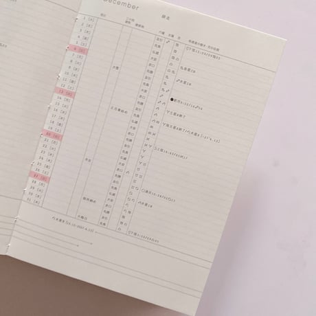 aynoma plain diary 2026