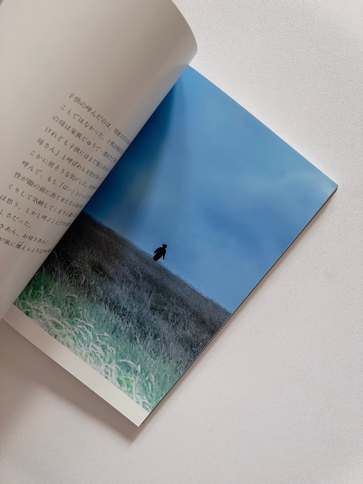 Ayaka Endo: Kanoko 日本語版（サイン本） | BOOKNERD