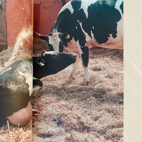 The Dairy Farm 　〜a day〜