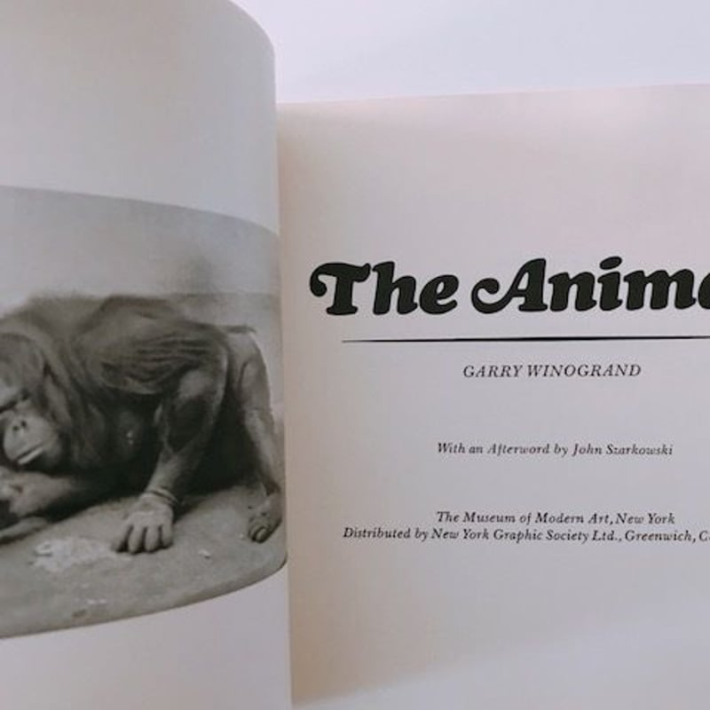 GARRY WINOGRAND THE ANIMALS | BOOKNERD