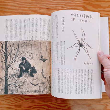 わたしの博物誌