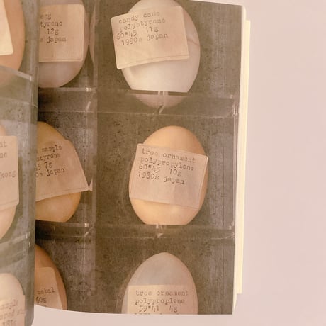 egg
